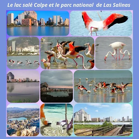 Sol Y Mar
