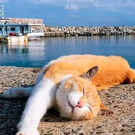 Sol Y Mar *